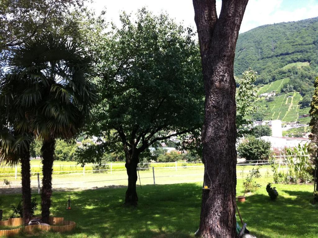 Casa Rosmarino Villa Gordola Exterior photo